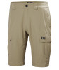 detail Pánské kraťasy Helly Hansen HH QD CARGO SHORTS 11