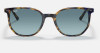 detail Unisex sluneční brýle RAY-BAN RB 2197 ELLIOT