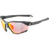detail Unisex sluneční brýle ALPINA Twist Six QV