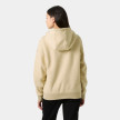 náhled Dámská mikina Helly Hansen W ELEVATE HOODIE