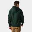 náhled Pánská mikina Helly Hansen ELEVATE HOODIE