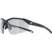 náhled Unisex sluneční brýle ALPINA Twist Six HR V