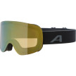 náhled Unisex LYŽAŘSKÉ ALPINA Penken Q