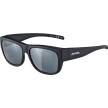 náhled Unisex sluneční brýle ALPINA Overview II P