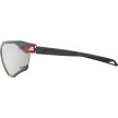 náhled Unisex sluneční brýle ALPINA Twist Six Q