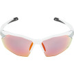 náhled Unisex sluneční brýle ALPINA Twist Six S HR QV
