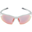 náhled Unisex sluneční brýle ALPINA Twist Six S HR QV