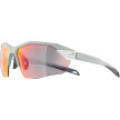náhled Unisex sluneční brýle ALPINA Twist Six S HR QV