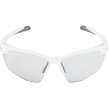 náhled Unisex sluneční brýle ALPINA Twist Six S HR V
