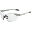 náhled Unisex sluneční brýle ALPINA Twist Six S HR V