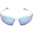 náhled Unisex sluneční brýle ALPINA Twist Six S HR Q