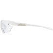 náhled Unisex sluneční brýle ALPINA Twist Five HR S VL+
