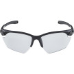 náhled Unisex sluneční brýle ALPINA Twist Five HR S VL+