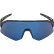 náhled Unisex sluneční brýle ALPINA Sonic HR Q-Lite