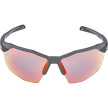 náhled Unisex sluneční brýle ALPINA Twist Six HR QV
