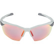 náhled Unisex sluneční brýle ALPINA Twist Six HR QV