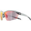 náhled Unisex sluneční brýle ALPINA Twist Six HR QV