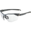 náhled Unisex sluneční brýle ALPINA Twist Six HR V