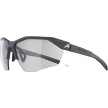 náhled Unisex sluneční brýle ALPINA Twist Six HR V