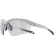 náhled Unisex sluneční brýle ALPINA Twist Six HR V