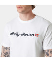 náhled Pánské tričko Helly Hansen CORE GRAPHIC T 2.0