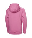 náhled Dětské mikina Helly Hansen JR HH GRAPHIC HOODIE