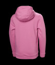 náhled Dětské mikina HELLY HANSEN JR HH GRAPHIC HOODIE