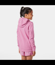 náhled Dětské mikina HELLY HANSEN JR HH GRAPHIC HOODIE