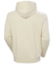 náhled Pánská mikina Helly Hansen CORE GRAPHIC SWEAT HOODIE