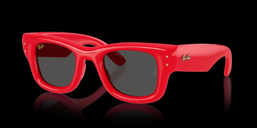 Ray-Ban 0RB4940 - Wayfarer puffer