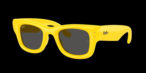 Ray-Ban Wayfarer puffer