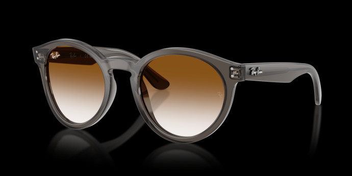 detail Ray-Ban 0RBR0505S