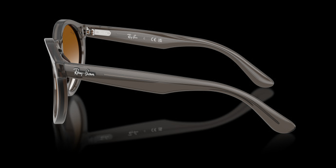 detail Ray-Ban 0RBR0505S