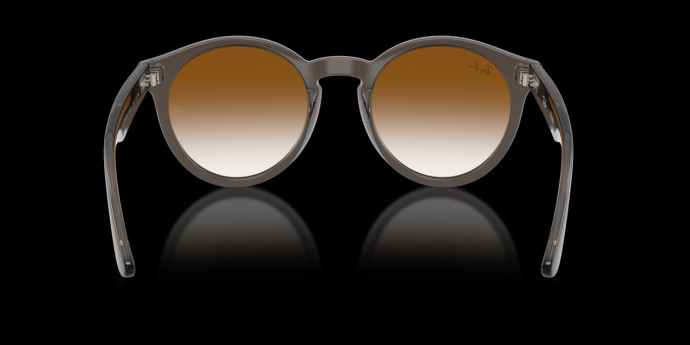 detail Ray-Ban 0RBR0505S