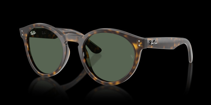 detail Ray-Ban 0RBR0505S