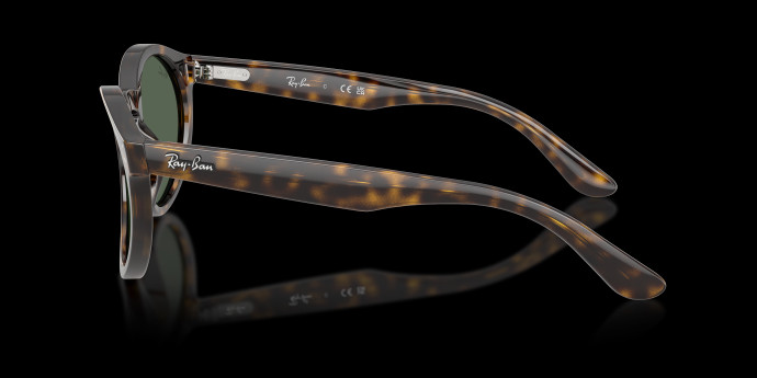 detail Ray-Ban 0RBR0505S