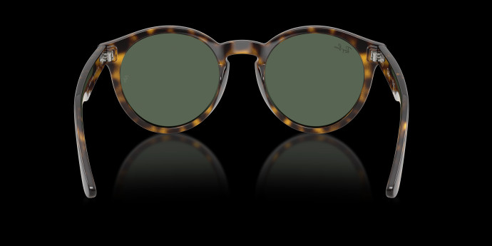 detail Ray-Ban 0RBR0505S