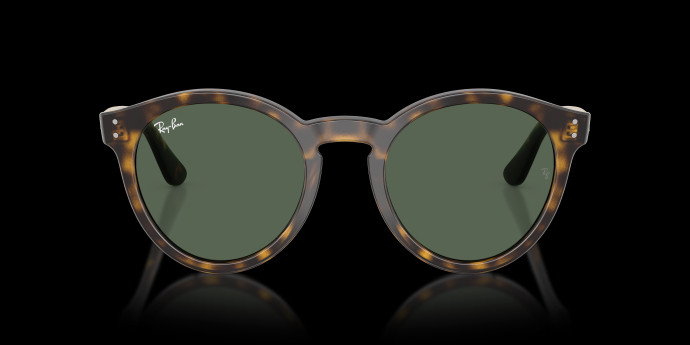 detail Ray-Ban 0RBR0505S