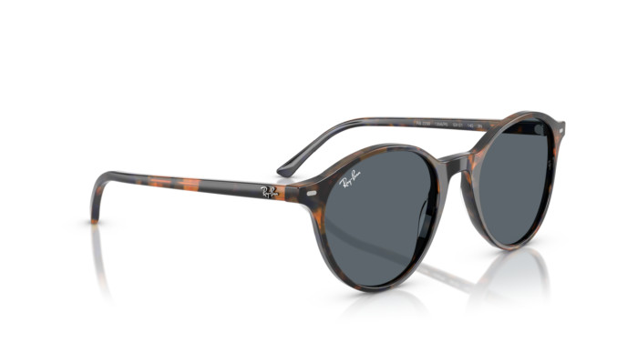detail Ray-Ban 0RB2230 - Bernard