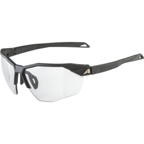 Unisex sluneční brýle ALPINA Twist Six HR V