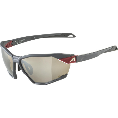 Unisex sluneční brýle ALPINA Twist Six Q