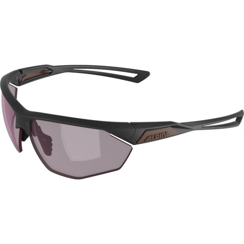 Unisex sluneční brýle ALPINA Nylos HR