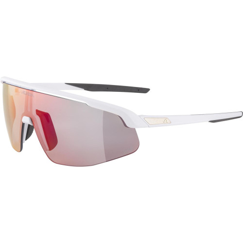 Unisex sluneční brýle ALPINA Turbo Pro QV
