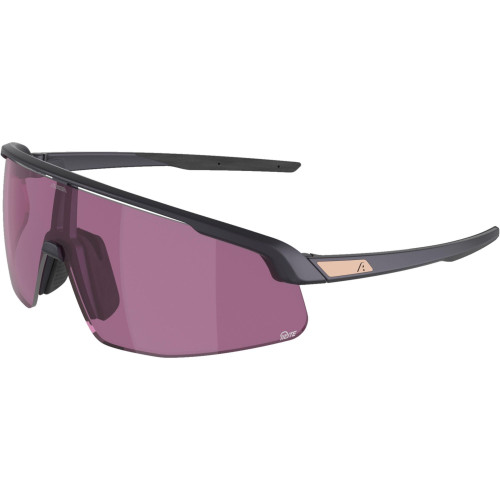 Unisex sluneční brýle ALPINA Turbo Pro Q-Lite
