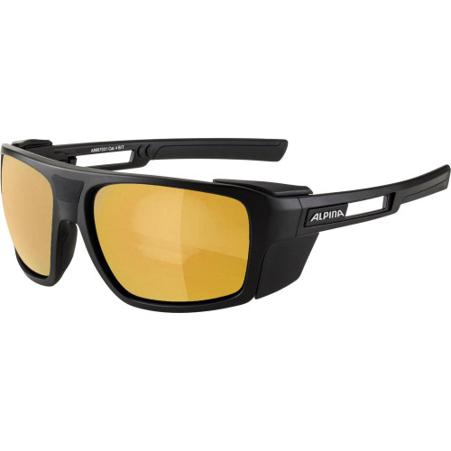 Unisex sluneční brýle ALPINA Skywalsh