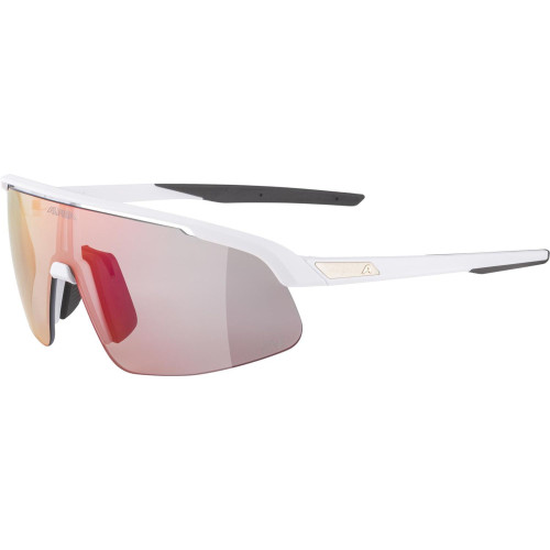 Unisex sluneční brýle ALPINA Turbo Pro S QV