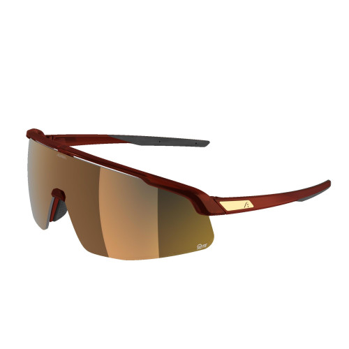 Unisex sluneční brýle ALPINA Turbo Pro S Q-Lite