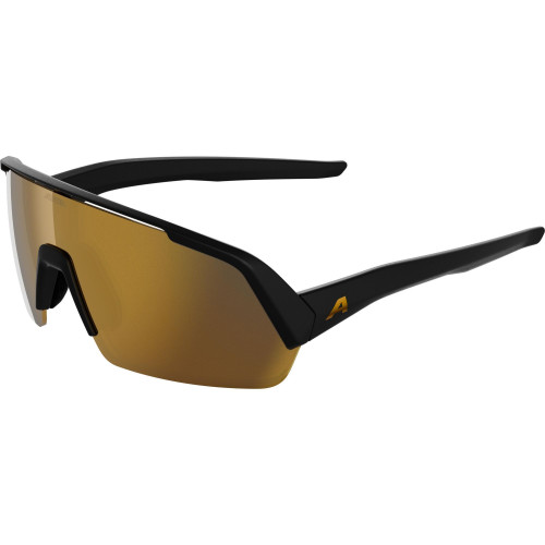 Unisex sluneční brýle ALPINA Turbo HR