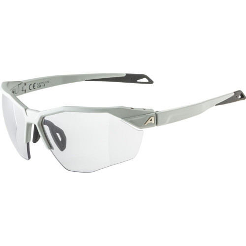 Unisex sluneční brýle ALPINA Twist Six HR V