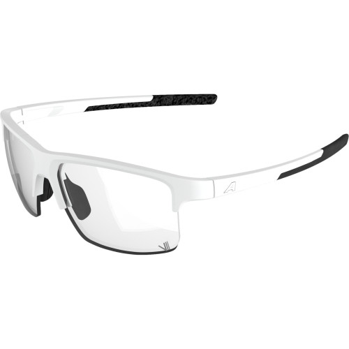 Unisex sluneční brýle ALPINA Eagle V